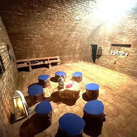 Appartamento Pri X Bionic Sphere Samorin S Vinnou Pivnicou