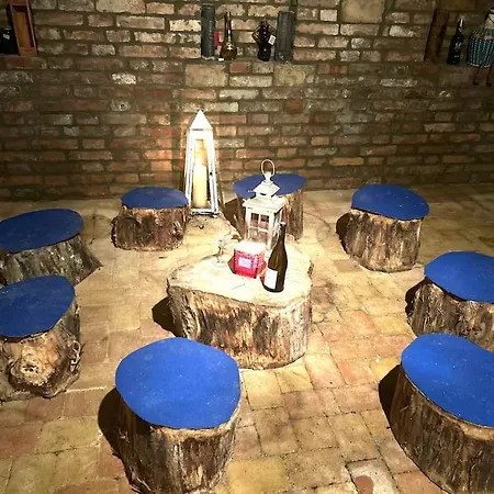 Apartman Pri X Bionic Sphere Samorin S Vinnou Pivnicou